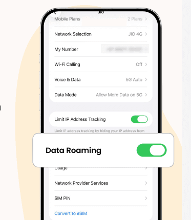 Enable Data Roaming